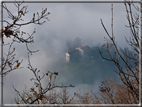 foto Colline Marosticane nella Nebbia